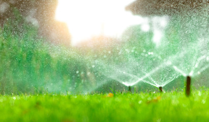 Sprinkler System Checkups Save You Time and Money