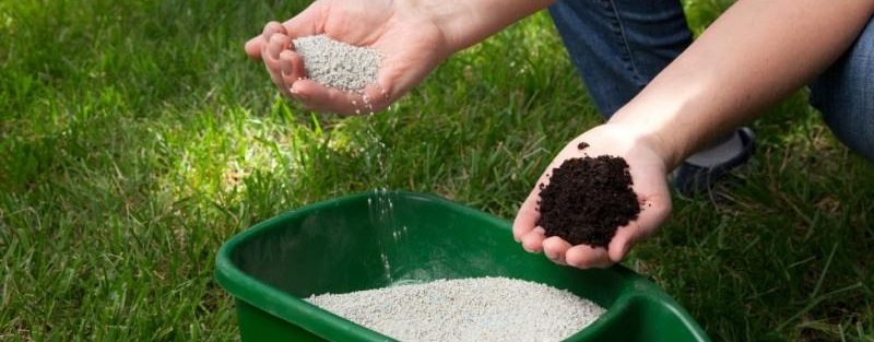 Things You Should Know About Lawn Fertilization
